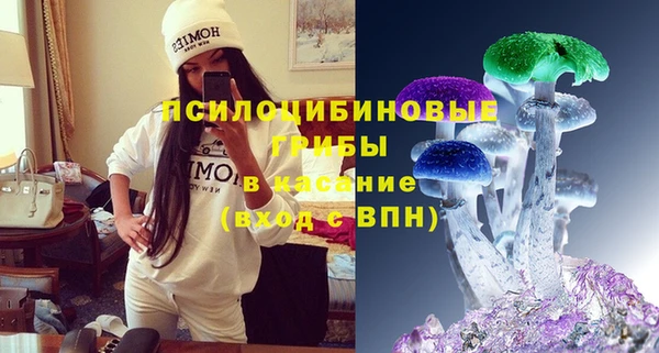 дживик Белоозёрский