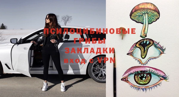 дживик Белоозёрский