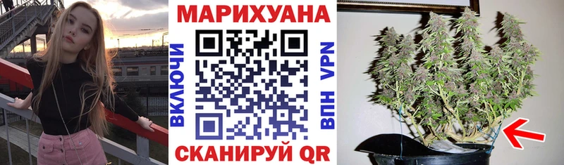 наркотики  Озёрск  Шишки марихуана конопля 